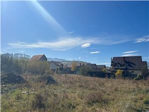 Teren pentru casa Tarlungeni - 24.000 EURO